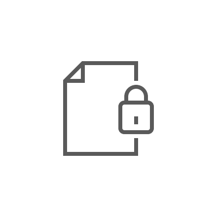 An icon featuring a lock on a document symbolizing strong data protection.