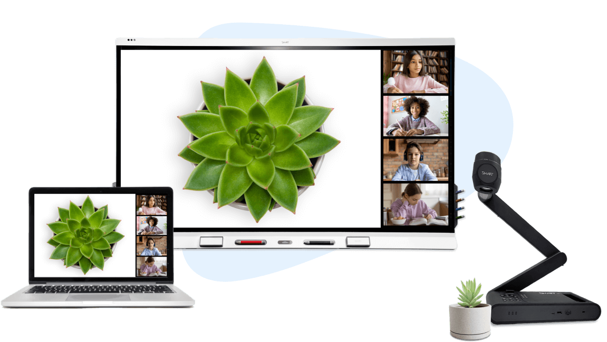 A SMART Document Camera displaying a vivid green succulent plant on a SMART interactive display, with the same image shared on a laptop screen, showcasing the camera's high-definition live image capture and sharing capabilities for engaging presentations and remote learning sessions.