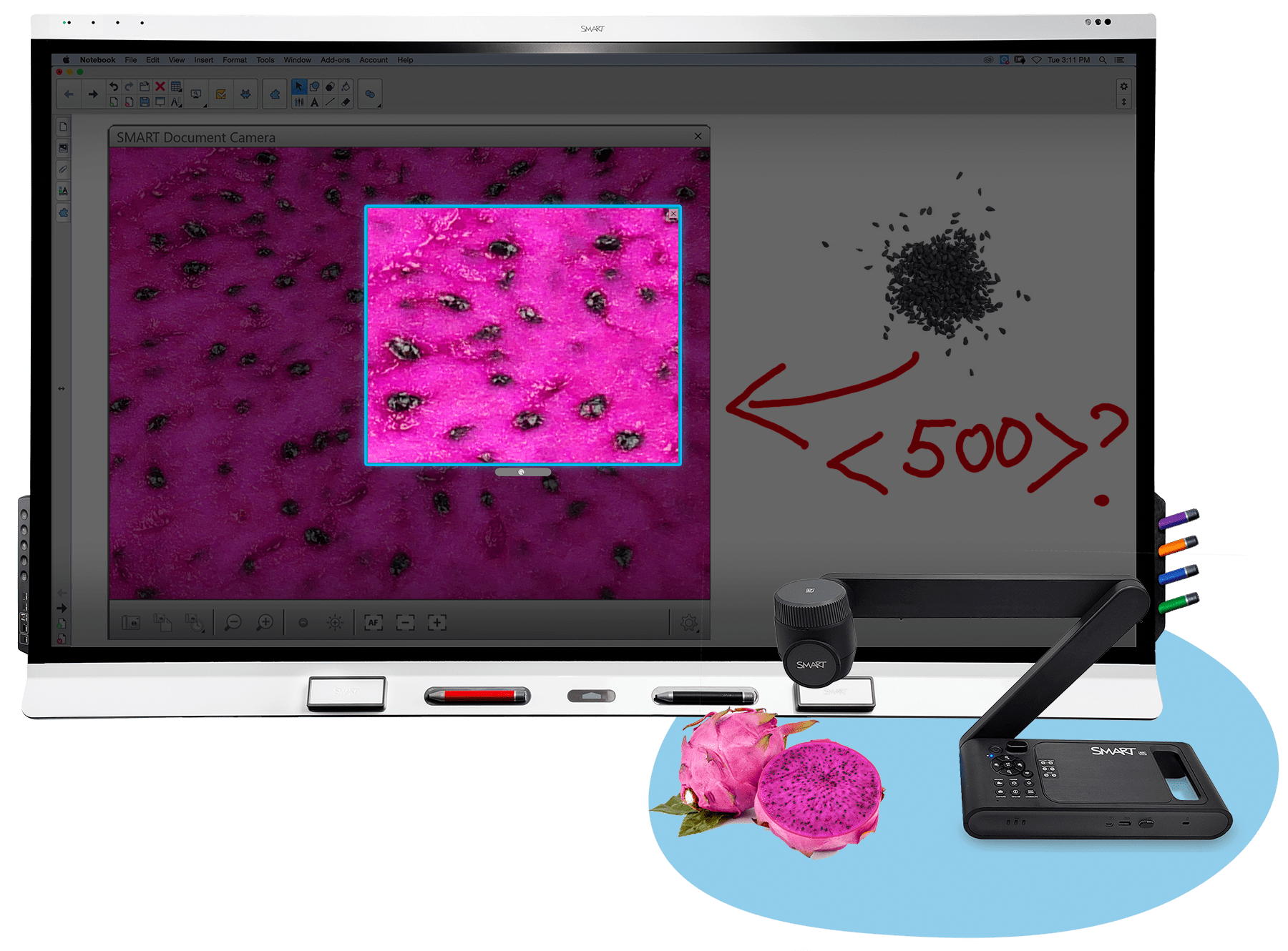 Classroom technology in action with a SMART Board illustrating less than 500 cells, promoting engaged learning.