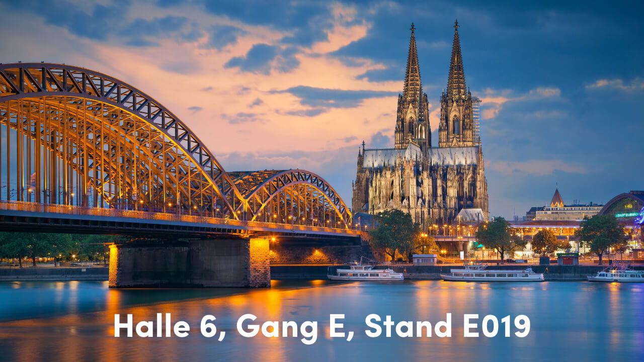 German skyline with bridge at night