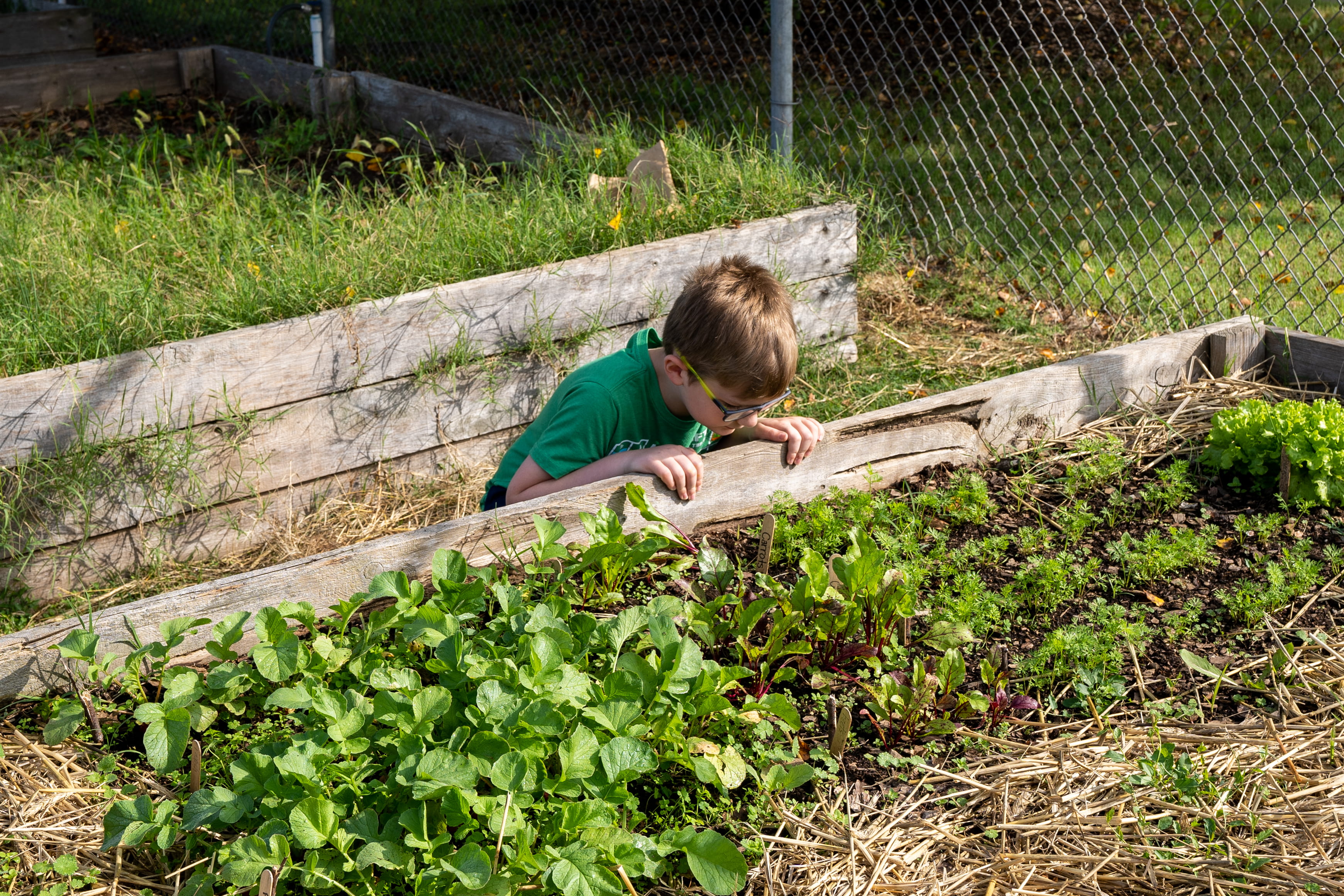 How the student garden at Brandeis Elementary provides endless options for learning
