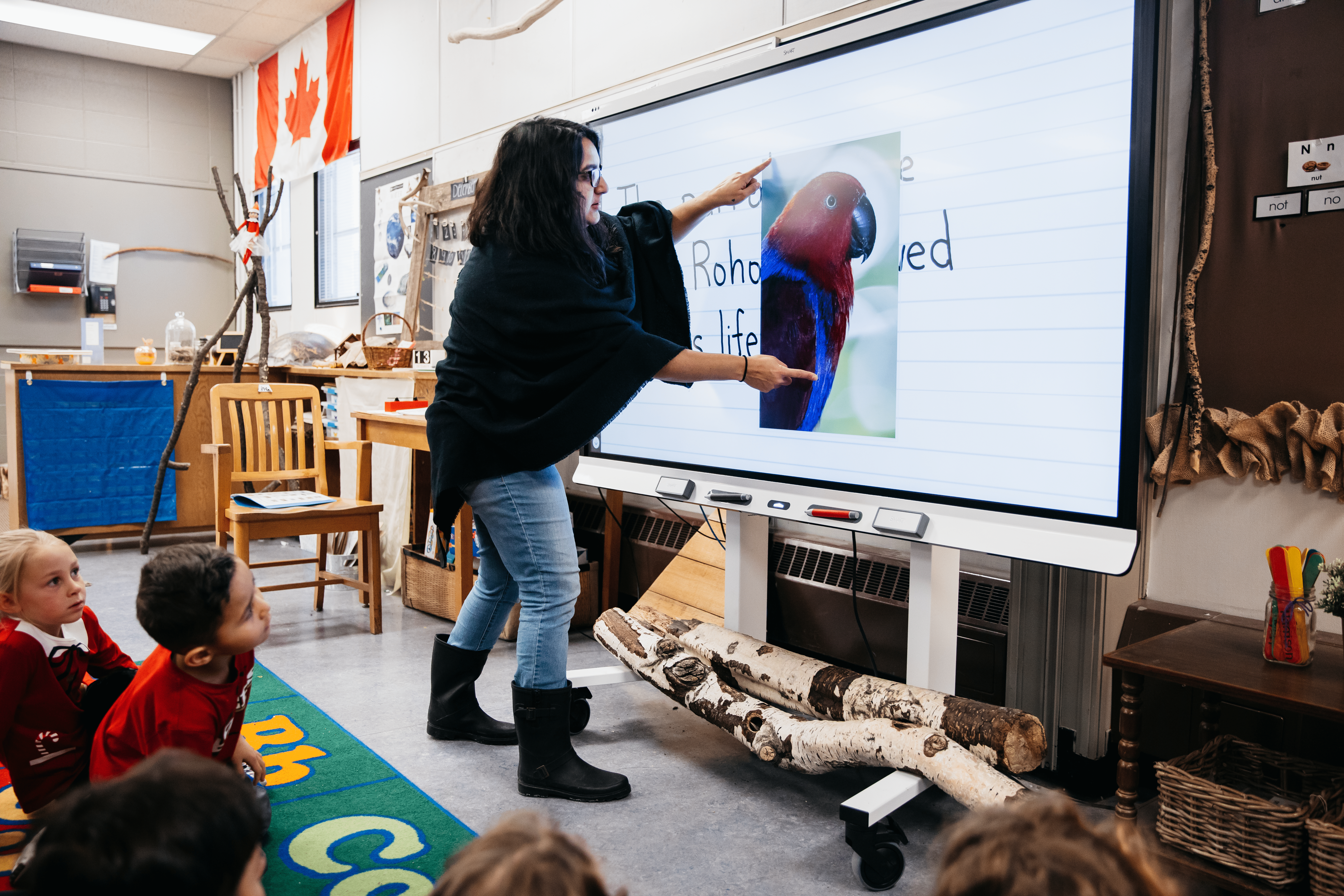 A teacher manipulates an image on her classroom 6000S interactive display.