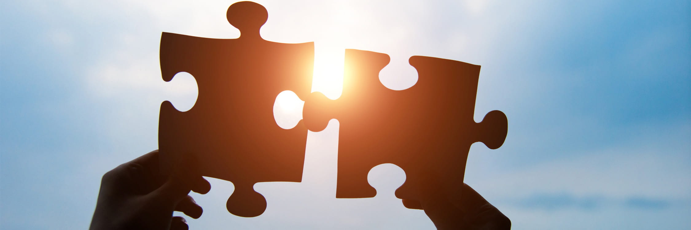 Two puzzle peices held up to the sky.